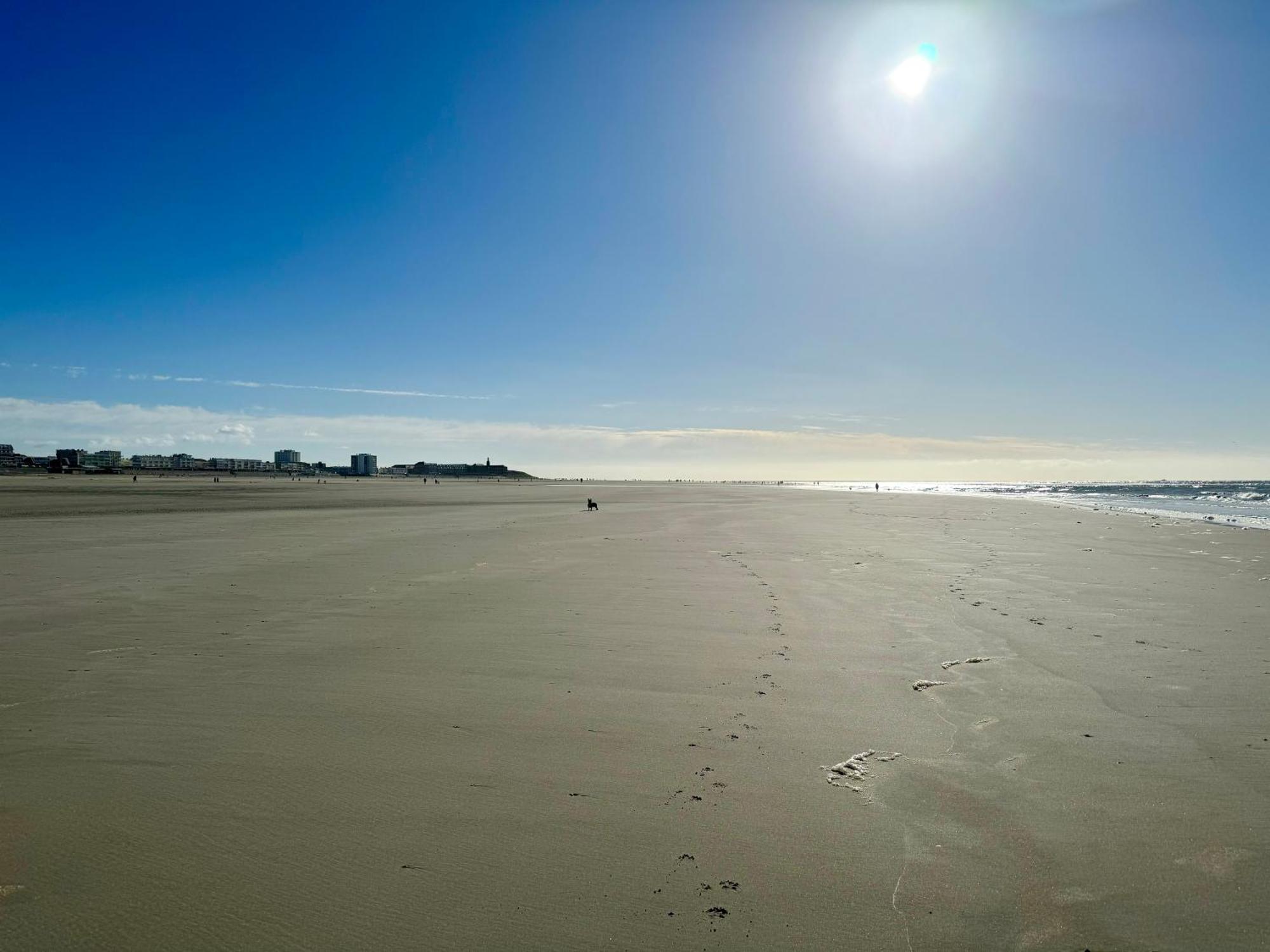 Le Paillette T2 400 M De La Plage Berck Extérieur photo