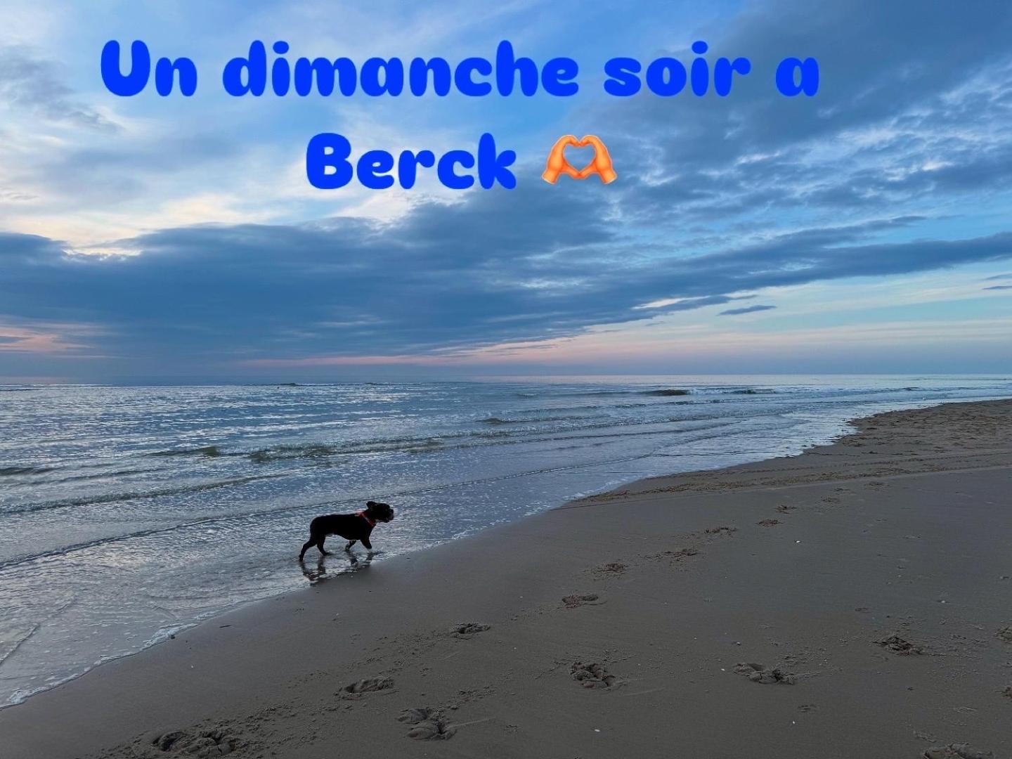 Le Paillette T2 400 M De La Plage Berck Extérieur photo